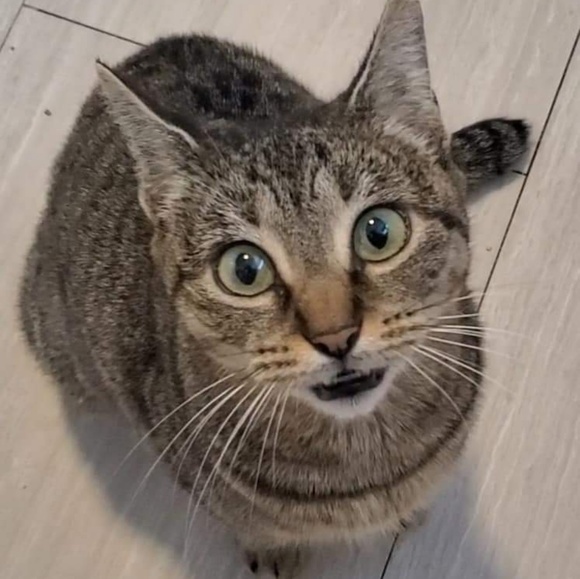 Meet your Posher, Sandy - Picture 1 of 1